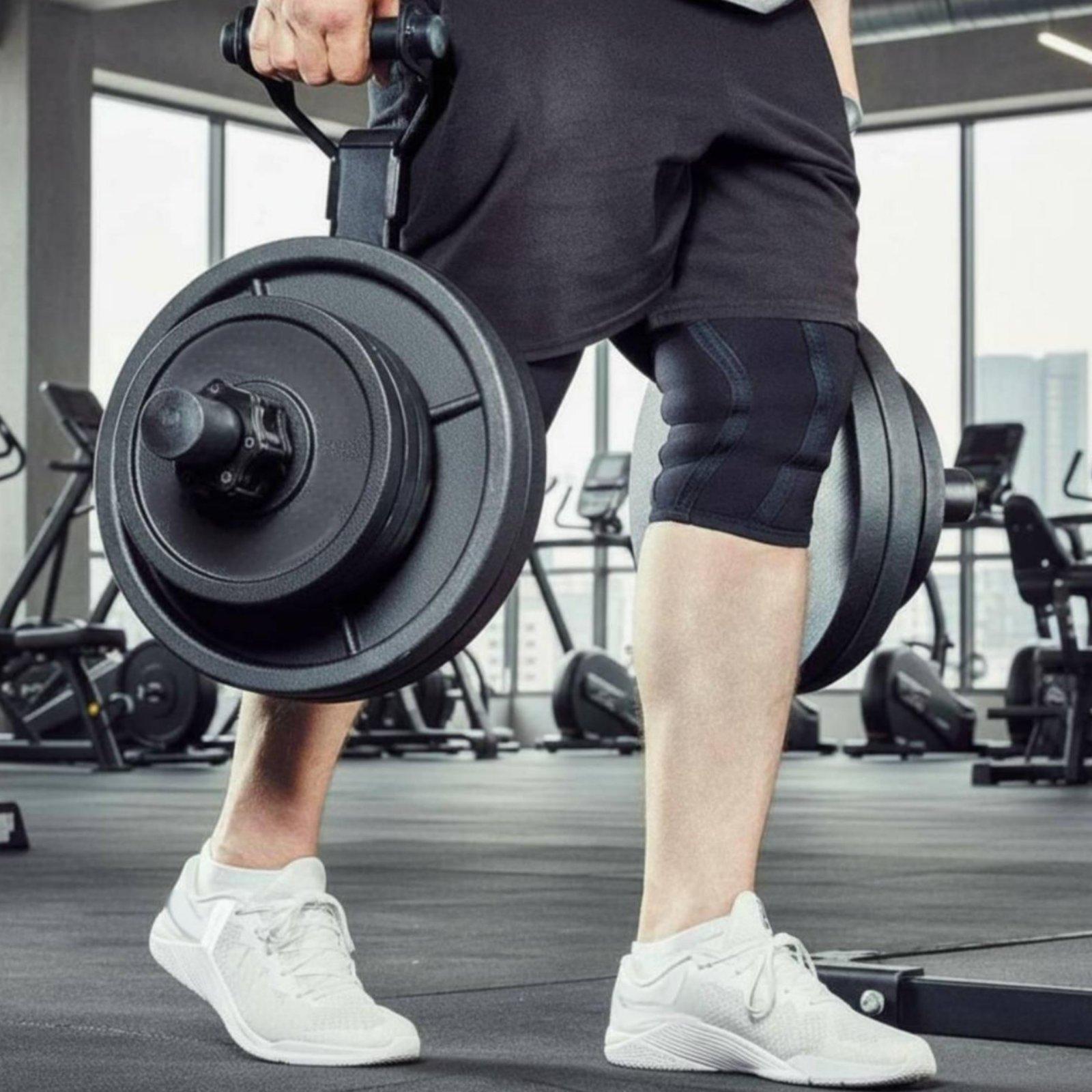 다양한 크기의 바벨 플레이트 홀더 정리대, 가정 및 상 - Home Gym Equipments 리뷰 및 가격
